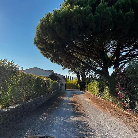 سان تروبيه Villa Alba المظهر الخارجي الصورة