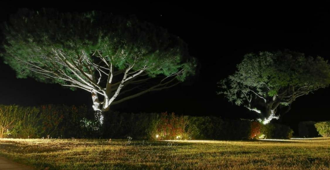 سان تروبيه Villa Alba المظهر الخارجي الصورة